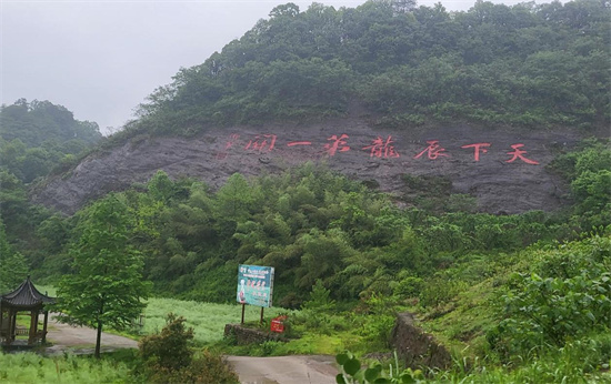 从一片“叶”到一条“链”  湖南沅陵茶旅融合拓宽村民致富路    
