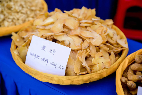 福地怀化开放向海|新晃打好“山”字牌黄精变“黄金”