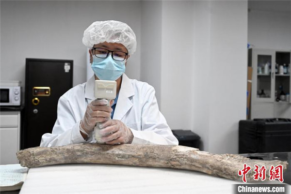 （文化新纪行）四川三星堆：多学科融合、多团队合作持续攻关“古蜀谜题”
