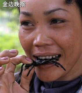 柬埔寨的美味油炸蜘蛛